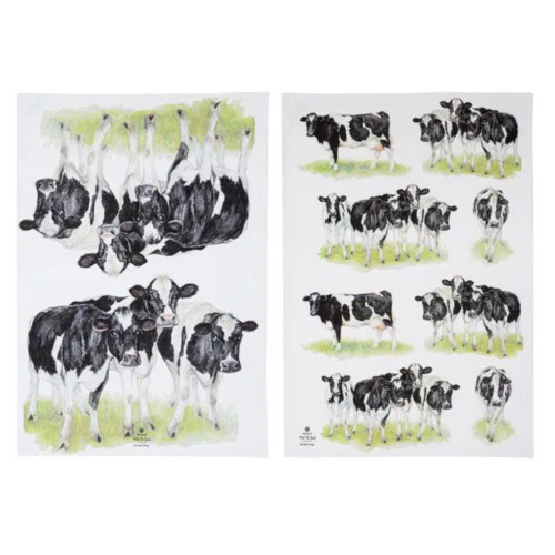 Meet The Girls 2pk Kitchen Towel by Ashdene