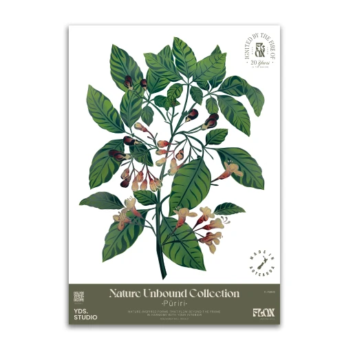 Puriri Decal by Flox
