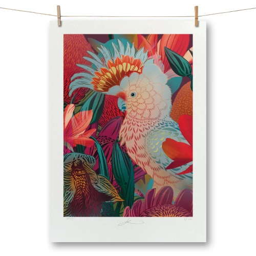 Antipodes Major Mitchell & Orchid by Flox