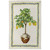 Limonaia Decoro 100% Linen Tea Towel by Tessitura Toscana Telerie