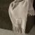 Nevis Throw by Weave - Limestone