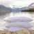 Wool Pillow by Wright Wool