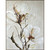 Floral Elements Canvas W/Light Frame by Linens and More