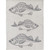 Kaimoana/ Ika Tea Towel by Linens and More