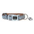 Neoprene Dog Collar