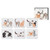 Purrrfect Moments 6pk Coaster by Ashdene
