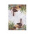 Native Birds of NZ Kiwi Kitchen Towel by Ashdene