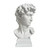 Classic Decorative David Bust by Linens and More Classic Decorative David Bust by Linens and More