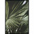 Green Palms Black Frame by Linens and More