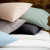 300 Thread Count Organic Organic Cotton Sheet Set by Renee Taylor
