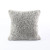 Pebble