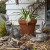 Truffle Country Hare Junior - Standing Grey by Linen & More - 16.2X12.5X30.3cm