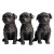Set of 3 Pug Pot Holder Aged 9x6x12cm each by Linen & More