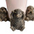 Hedgehog Pot Holder Set Of 3 Gold by Linen & More - 10X6.5X9cm Each