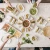 Taco Holder - Multiple - Calavera Calm by Prepara