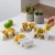 Taco Holder - Multiple - Calavera Calm by Prepara