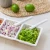 Taco Spoon - Set of 2 - Calavera Calm by Prepara