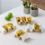 Taco Gift Set - Calavera Calm by Prepara