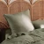 European Pillowcase - Moss