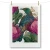 Antipodes Tui & King Protea by Flox