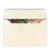 Fantail & Punga (pack of 6) by Flox