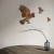 Kea Decal by Flox