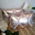 Cushion Hide/Rose Gold by Backyard