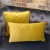 Square Velvet Cushion by Backyard