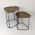 Antique Asymmetrical Coffee Table by Backyard (2 Pack)