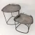 Antique Asymmetrical Coffee Table by Backyard (2 Pack)