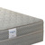Commercial Series Commercial Comfort Bed by Sealy Commercial