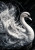 Extra large A1 decoupage rice paper featuring a majestic swan with high-contrast light and shadow.