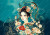 Hikari Japanese geisha portrait with teal background and gold floral swirls
