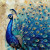 beWhimsy extra large furniture transfer rice paper A3 royal peacock illustration with elaborate feather display against vintage gold steampunk-style background mirrored option