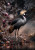 Grey Crowned Crane decoupage furniture transfer with golden crests and frosted berries.