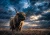 Rustic furniture decoupage paper with a Highland cow and yak-inspired artwork set against an epic stormy sky.