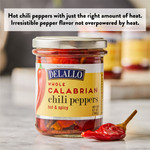 Product Information for Calabrian Chili Peppers