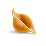 Product image of a whole wheat pasta shell outside of package