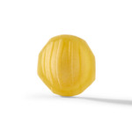 Image of single orecchiette pasta