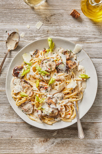 Bucatini Pasta with Mushroom Cream Sauce Bucatini Pasta with Mushroom Cream Sauce