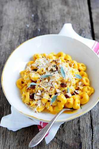 Cheese Tortellini with Creamy Butternut Squash & Sage Sauce Cheese Tortellini with Creamy Butternut Squash & Sage Sauce