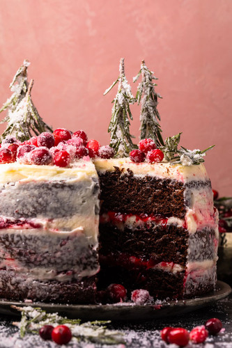 Chocolate Cranberry Christmas Cake Chocolate Cranberry Christmas Cake