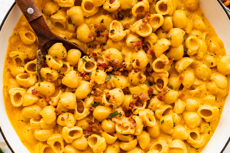 Pumpkin Pasta Sauce with Shellbows served in a bowl.