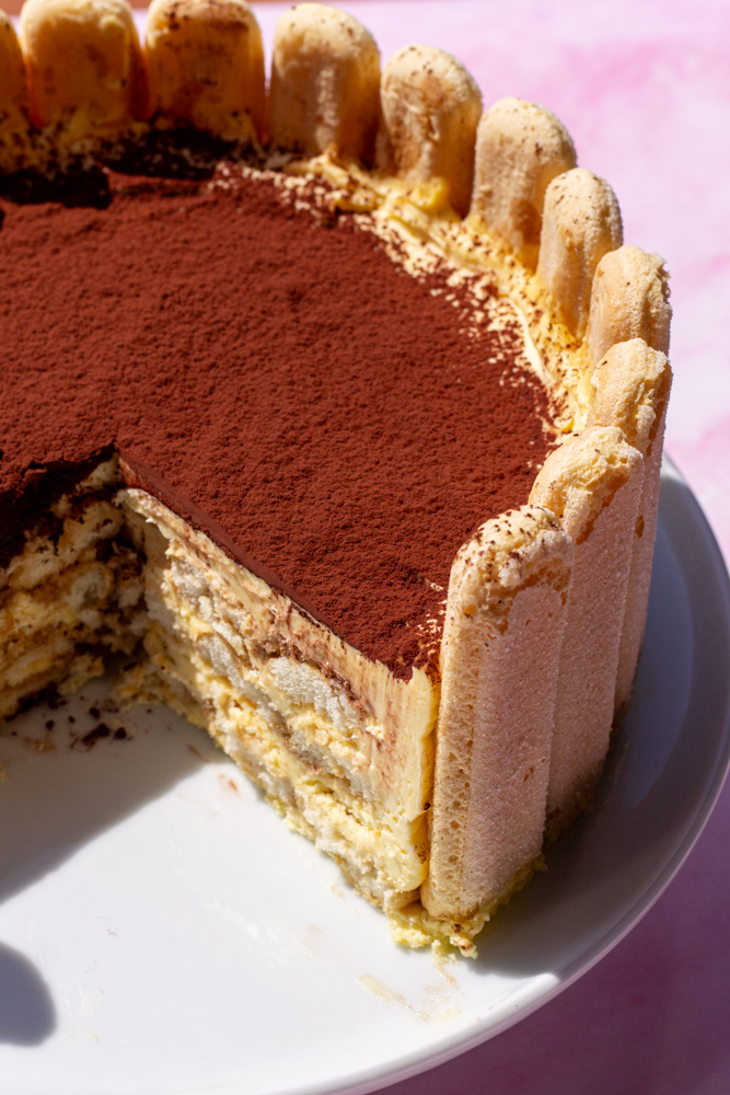 Tiramisu Charlotte Cake ready to be served