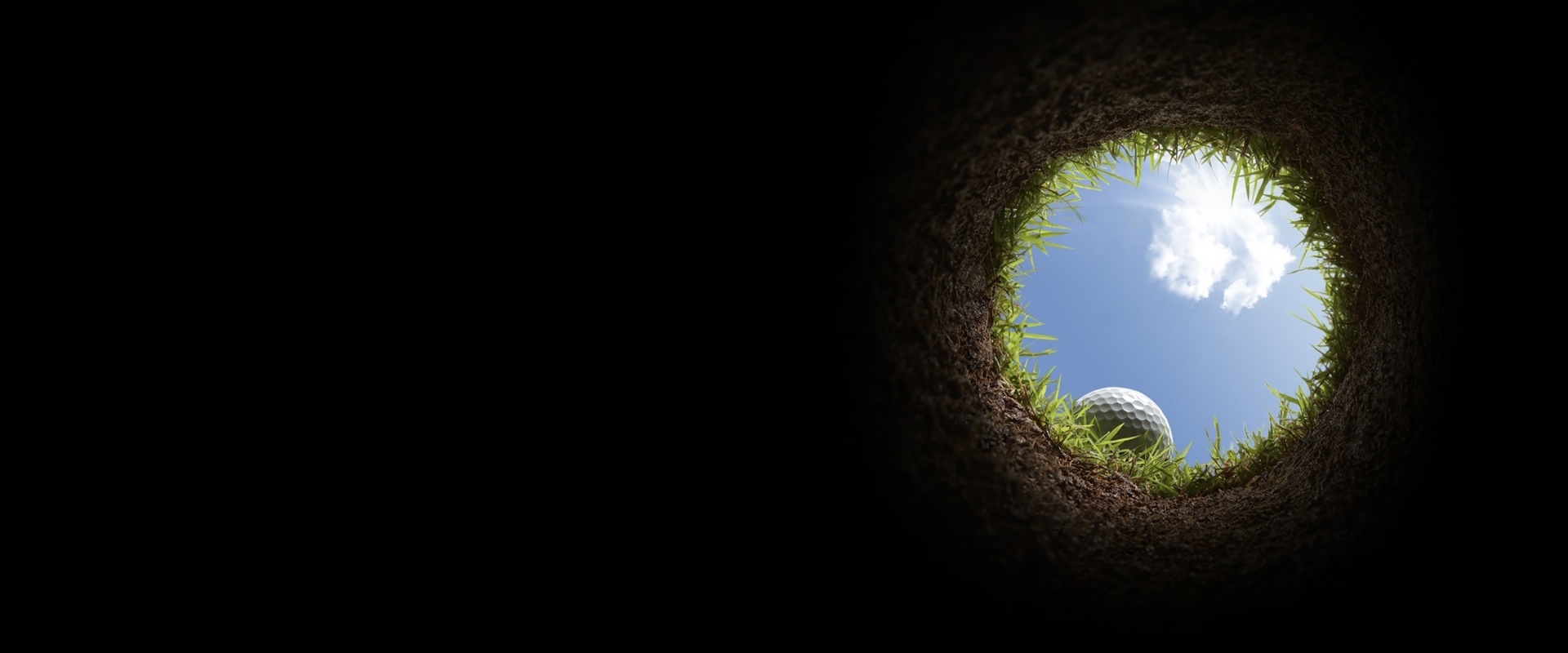 Our signature fixture that bends to your will