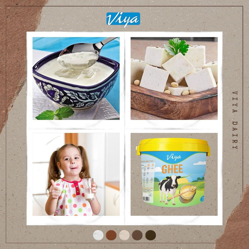 Dairy ingredients used in Indian cuisine