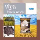 Facts about Black Wheat Flour