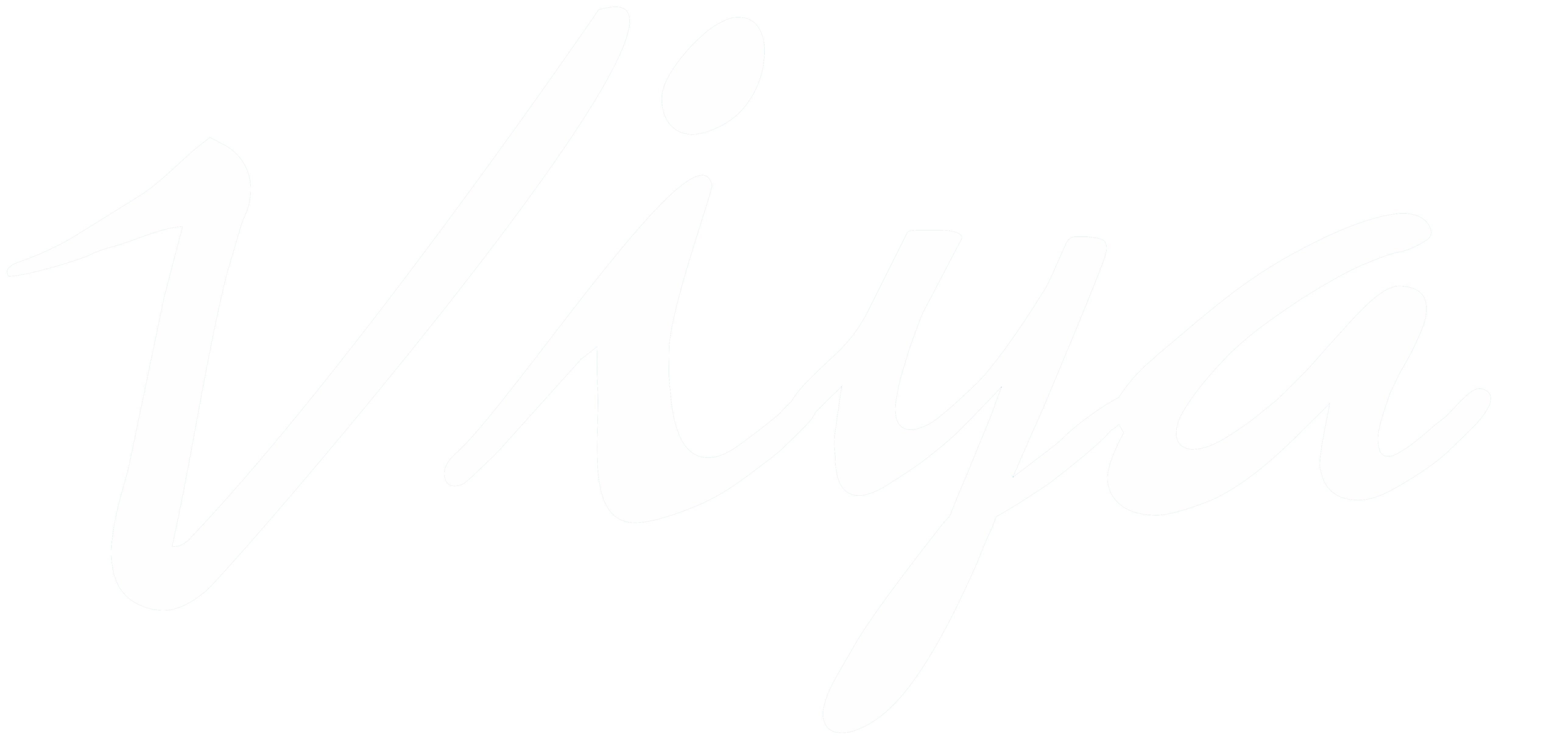 An essential list of Indian spices to prepare delicious Indian dishes