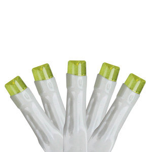 20 Pre-Lit Green Battery Operated LED Wide Angle Christmas Lights - 6.25 ft White Wire