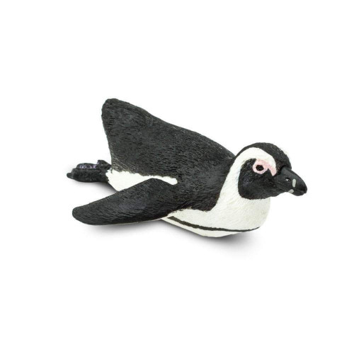 2.50" Black and White South African Penguin Educational Teaching Figurine